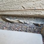 Spalling Foundation Repair Ahwatukee Arizona