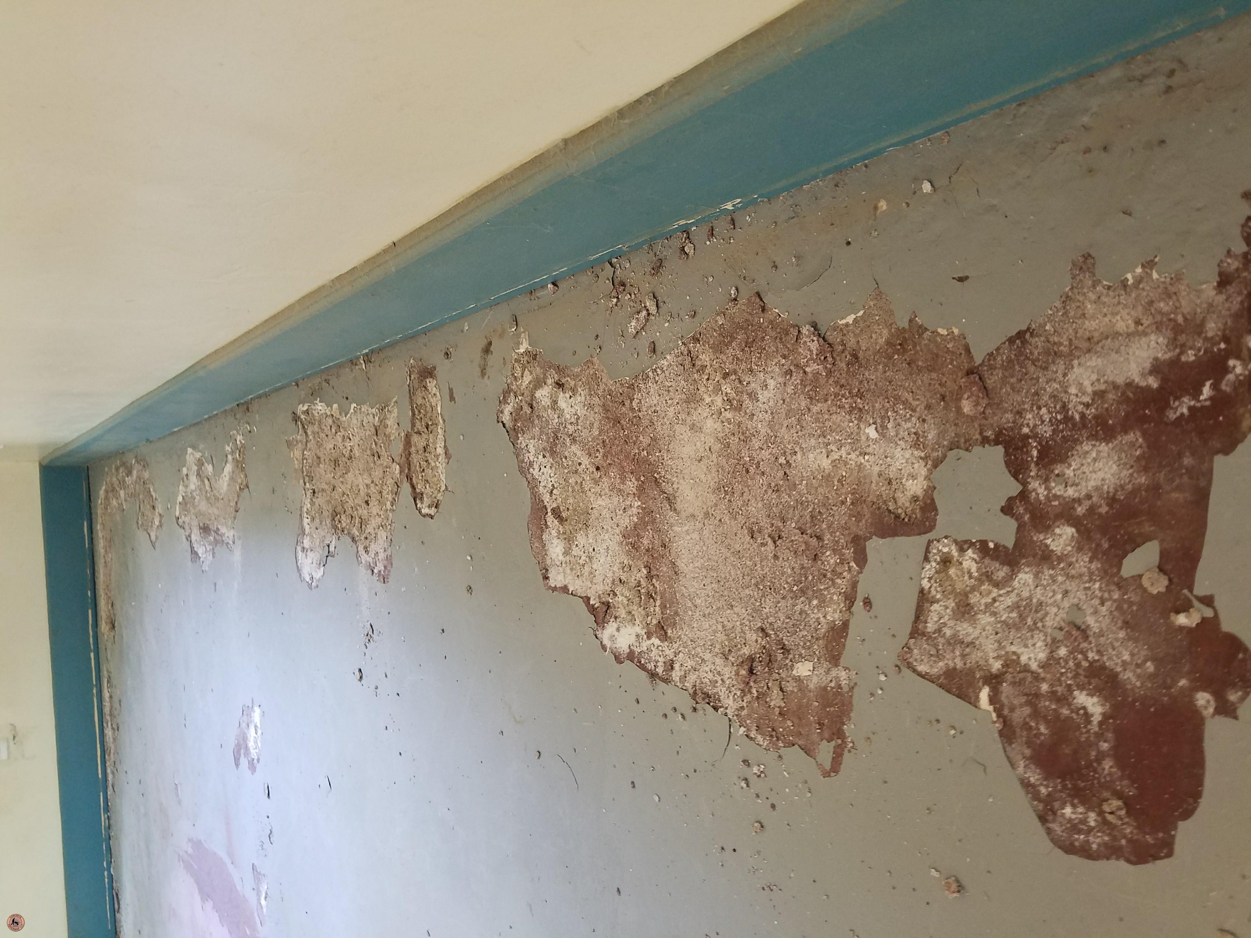 Stem Wall Foundation Problems Spalling & Water Damage