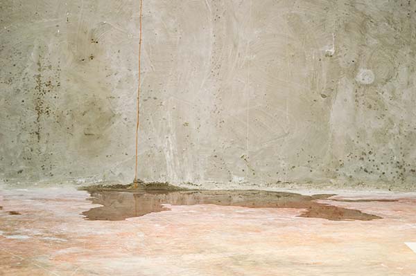 Home Foundation Inspections - Concrete Repairman