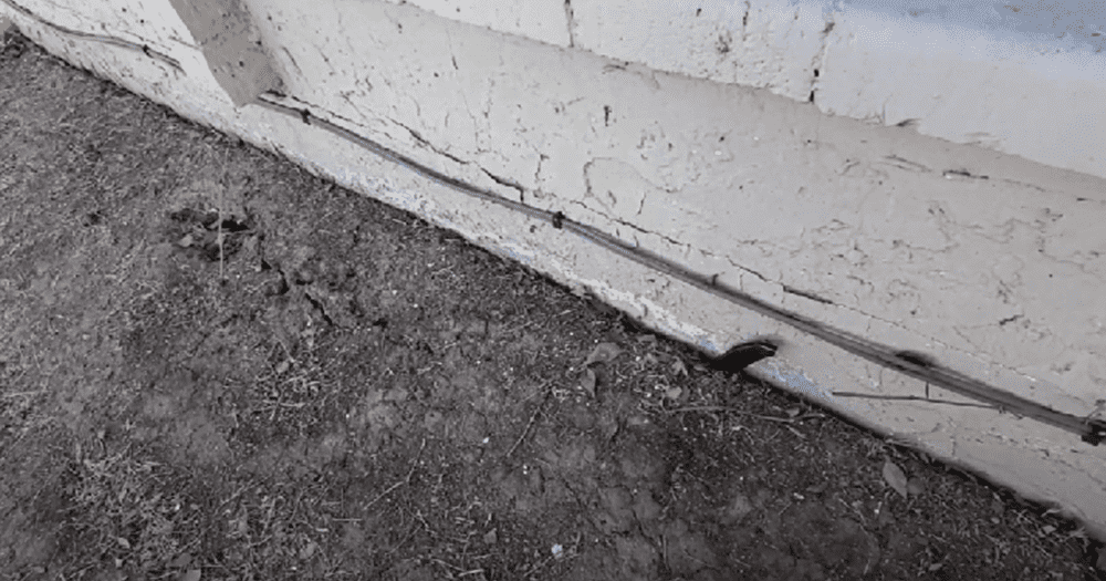 Concrete Repairman performing a Foundation Inspection and checking soil moisture levels — schedule your inspection today to protect your home’s foundation.