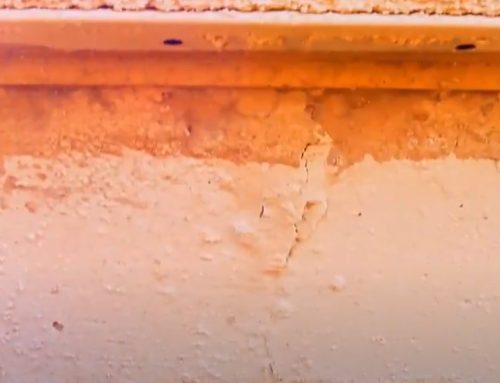 Preventing Stem Wall Damage in Arizona Homes