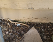 Professional stem wall repair and slab foundation solutions for Arizona homeowners — contact Concrete Repairman LLC at (720) 504-4407 for expert inspection, crack prevention, and long-term foundation protection.