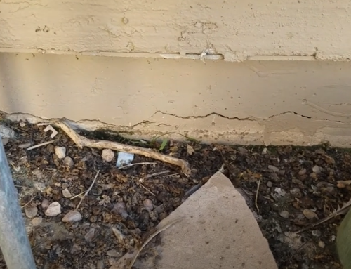 The Difference Between Stem Wall and Slab Foundation Repairs