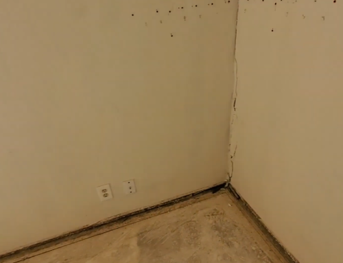 Why Do Some Homes Experience Sewer Backups From Leaning Foundation Walls? A Guide for Ahwatukee Homeowners